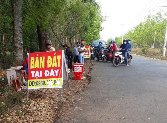 Tại Hớn Quảng, mới ra Tết đã nườm nượp người về xem đất.