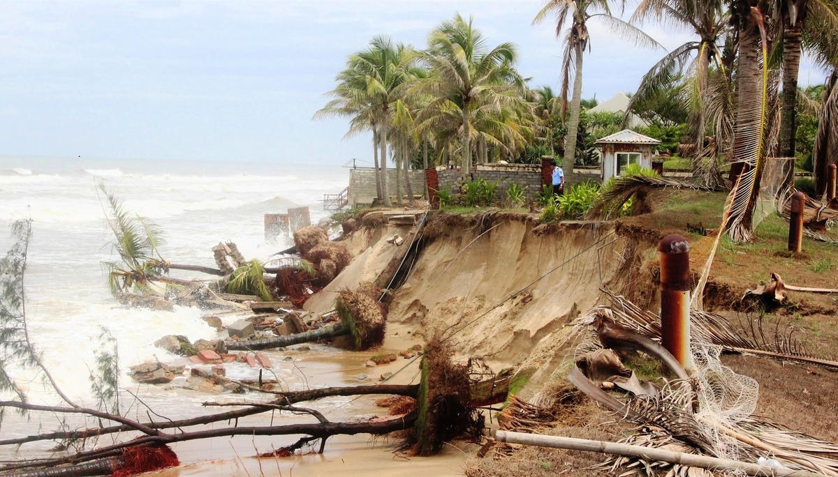 Đoạn bờ biển ở phường Cẩm An sạt lở nghiêm trọng.