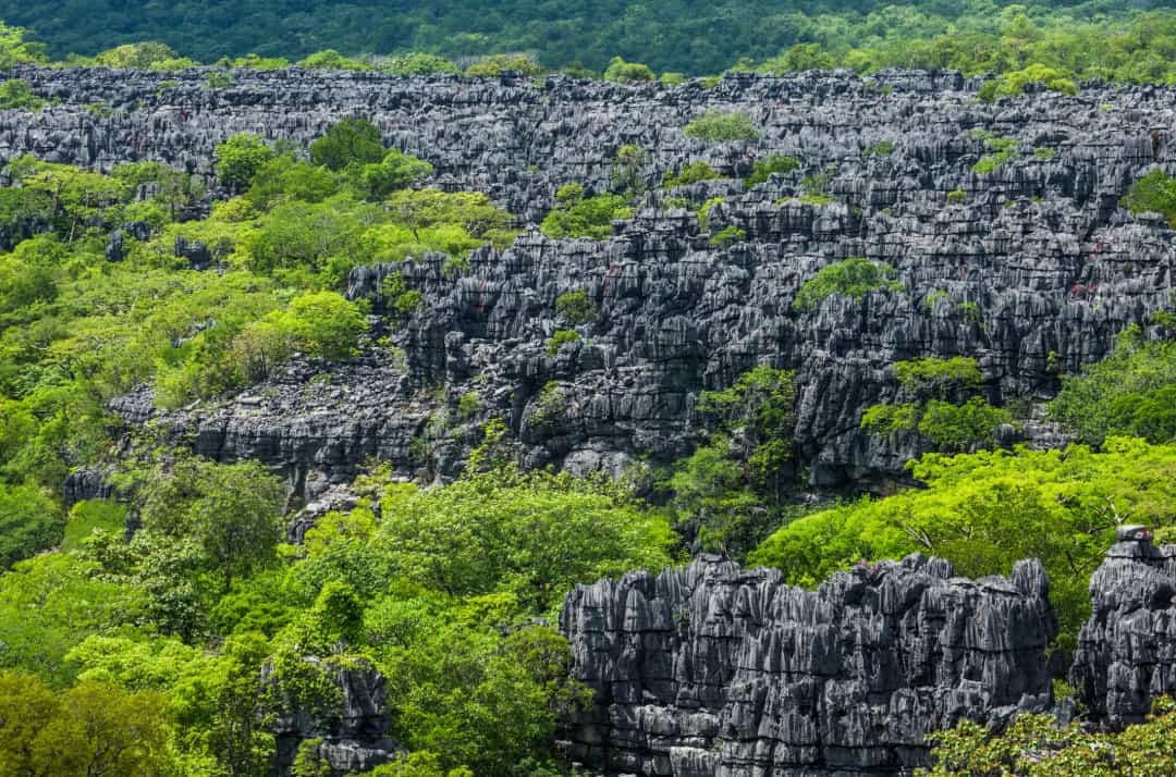 Nổi lên với vẻ dịu dàng lạ thường từ những mỏm đá lởm chởm là những mảng màu xanh tươi sáng đến ngỡ ngàng.