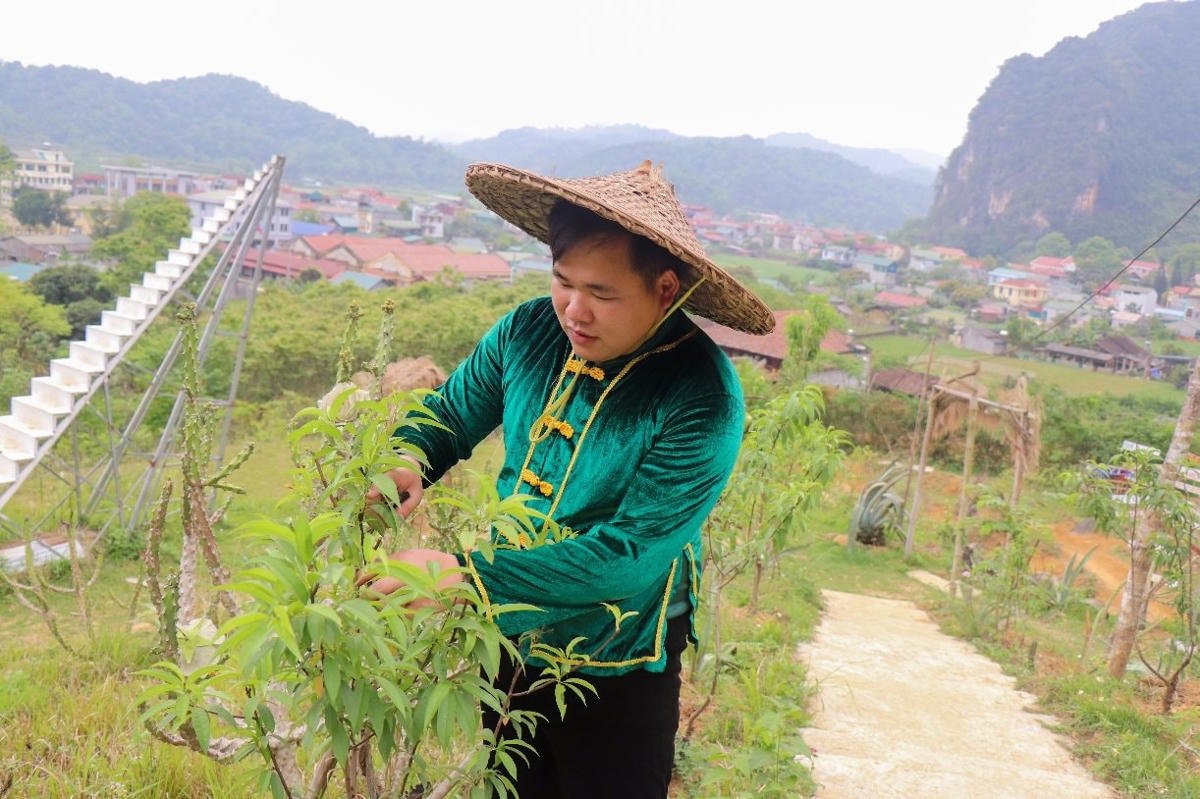 Chàng trai dân tộc Tày Nông Minh Nghĩa mở trang trại du lịch vì trăn trở với ước mơ phát triển du lịch cho quê hương.