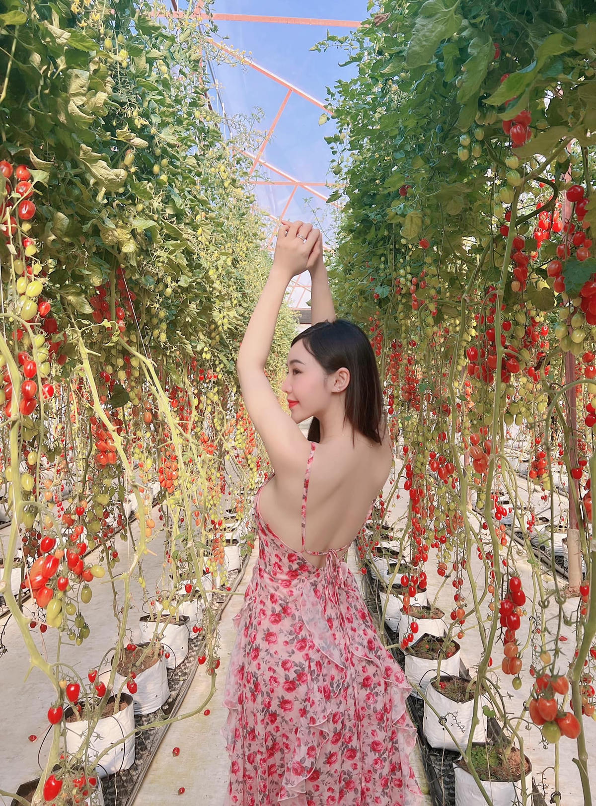 Quỳnh Kool sẽ vướng phải lưới tình của Nhan Phúc Vinh. 