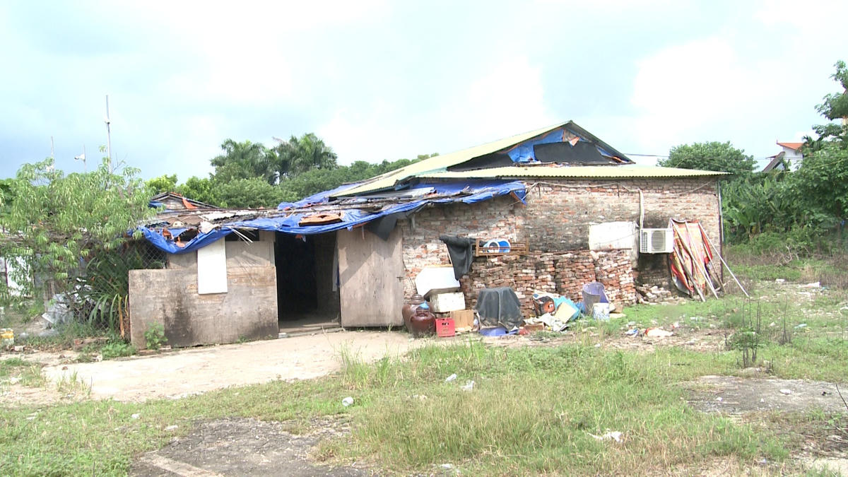 Dãy nhà tạm tại tổ 1, cụm 1,phường Phú Thượng, nơi 5 hộ gia đình nơi bà Phương sinh sống