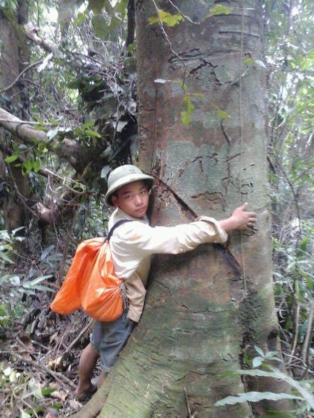 A Sinh đi rừng chăm sóc thảo quả để kiếm thêm tiền đi học.  