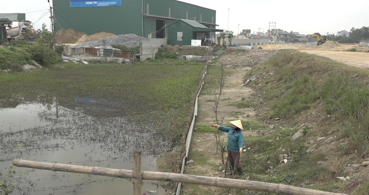 Dự án ‘vây’ đất nông nghiệp