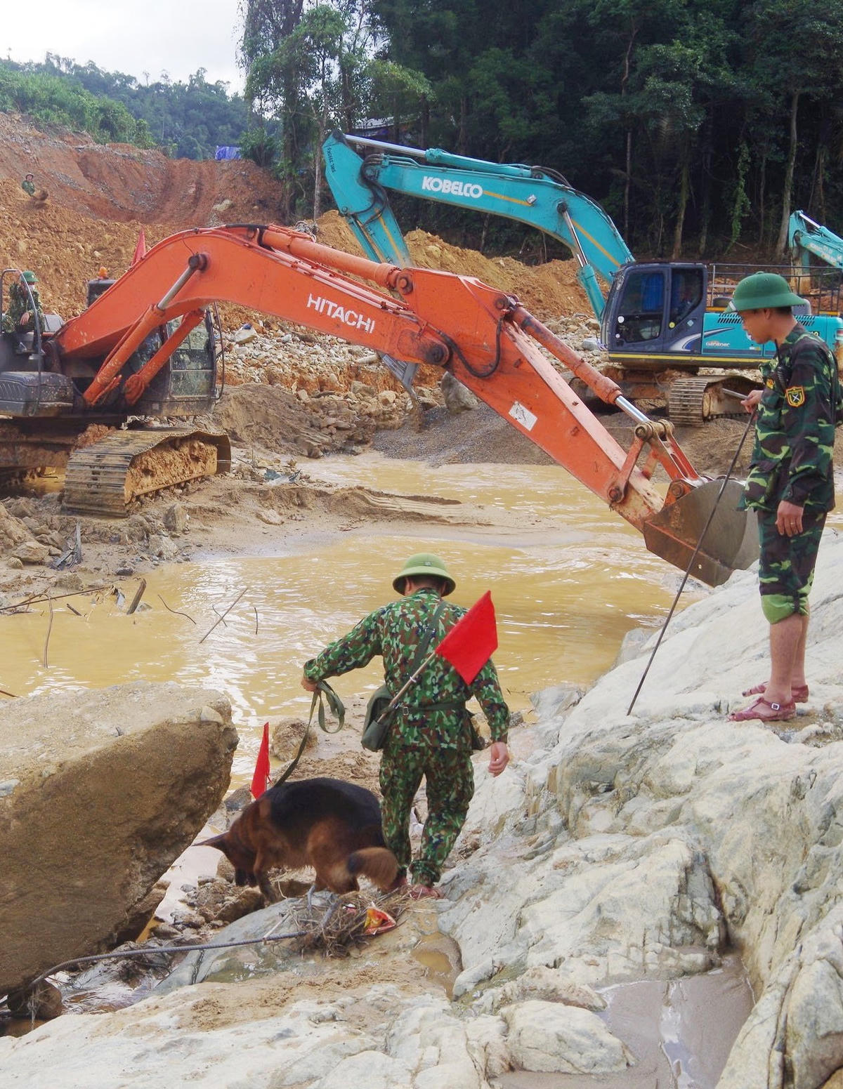 1 chú chó nghiệp vụ trong đội 3 chó nghiệp vụ được đưa tới khu vực tìm kiếm từ bờ sông xuống. Ảnh: Dân trí.