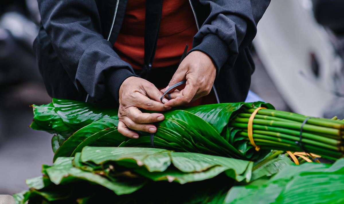 Những chiếc lá đẹp được các tiểu thương chọn lọc, xếp ngay ngắn, bó thành từng bó để phục vụ người dân.