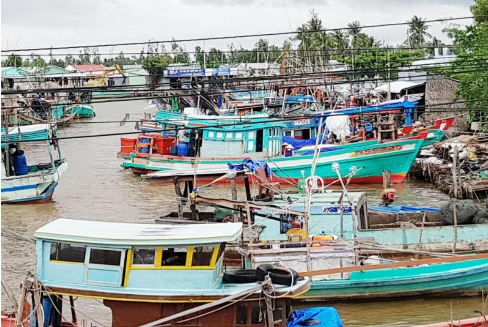 Tàu thuyền ở cửa biển Khánh Hội, Cà Mau.