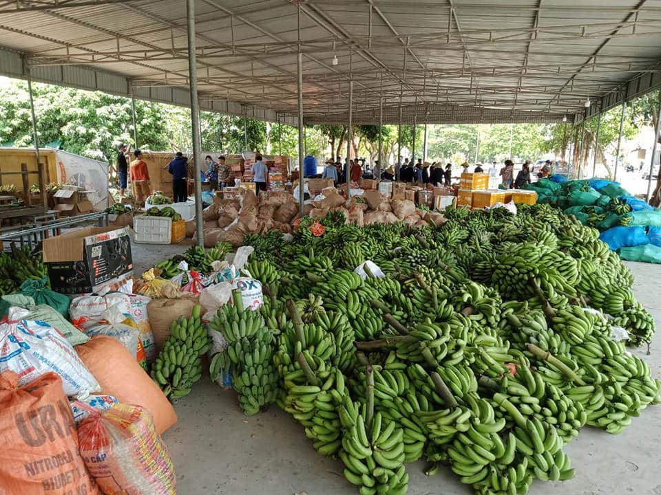 Ngoài sản phẩm đóng gói, còn có hàng chục tấn rau quả được vận chuyển vào cho người dân TP HCM.