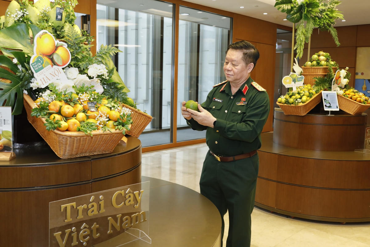 [ẢNH] Thủ tướng Nguyễn Xuân Phúc tham quan Triển lãm Bản đồ trái cây Việt Nam