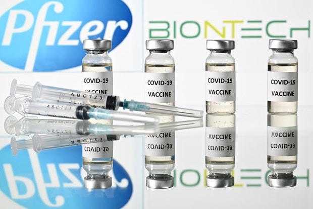 Vaccine ngừa Covid-19 Pfizer/BioNTech. (Ảnh: AFP/TTXVN).