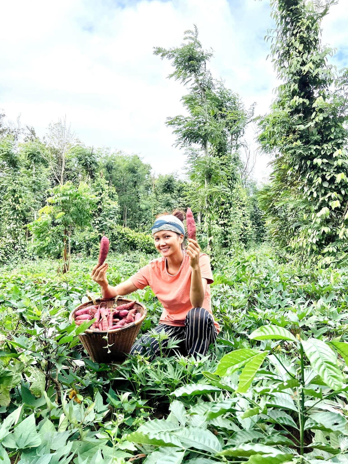 Hoa hậu H’Hen Nie lại về quê đi mót khoai để refresh bản thân, tiếp năng lượng để làm viêc hiệu quả.
