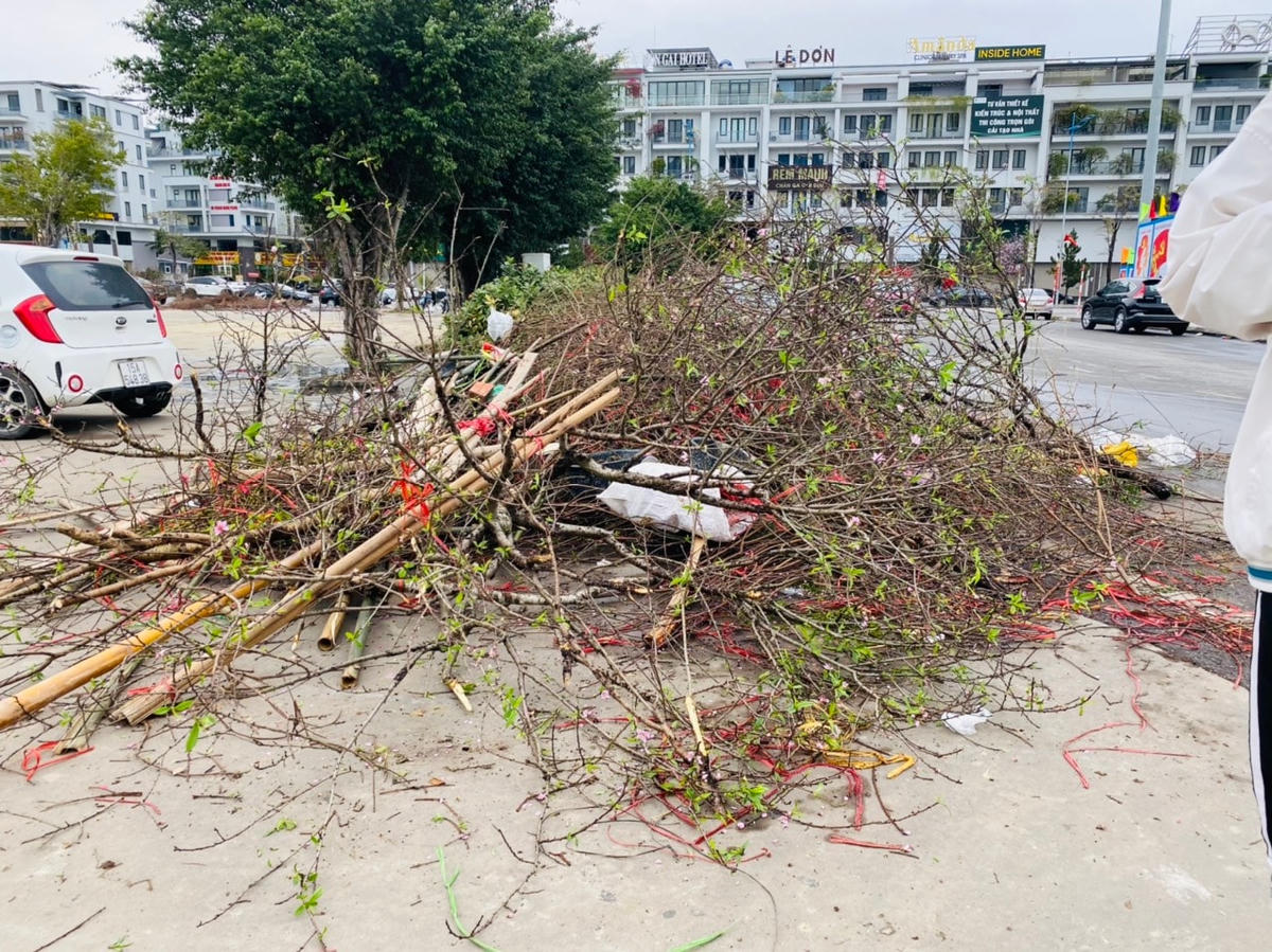Tiểu thương chấp nhận chặt bỏ đào, quất, chấp nhận lỗ vì đã bán rẻ mà chẳng có ai mua.