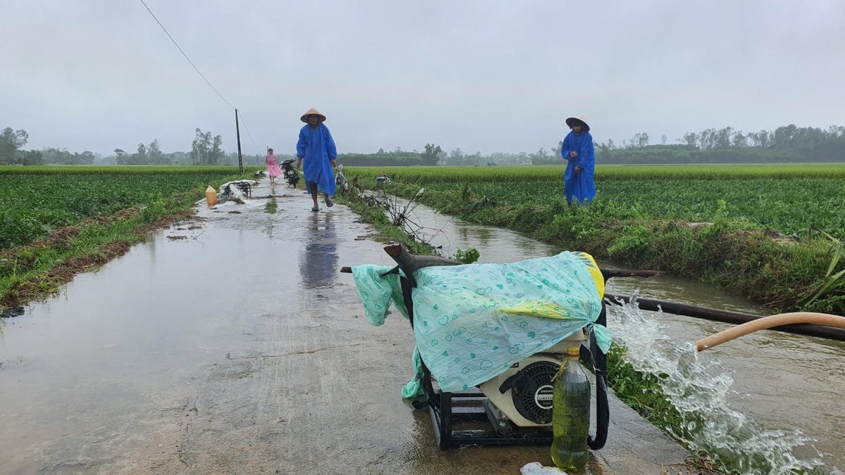 Bà con đắp bờ dùng máy bơm nước cứu dưa.
