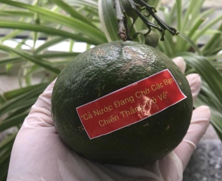 Hình ảnh quả cam của người dân gửi trên tay y bác sĩ ở Bệnh viện đa khoa Đà Nẵng với thông điệp khiến các y bác sĩ xúc động với tấm lòng và niềm tin của người dân (ảnh: Đ. Quốc).