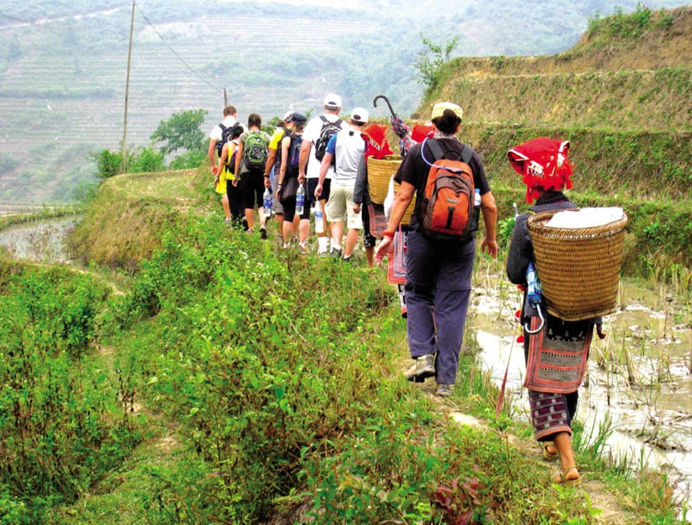 Du khách chinh phục đỉnh Fansipan men theo những khu ruộng bậc thang.