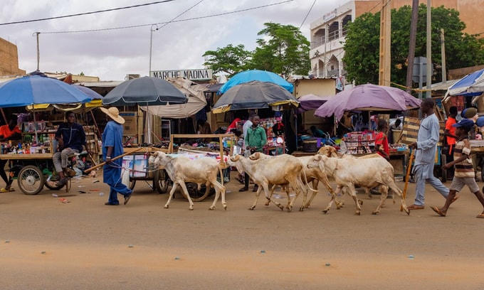 Một khu chợ ở thủ đô Niamey, Niger. Ảnh: WSJ.