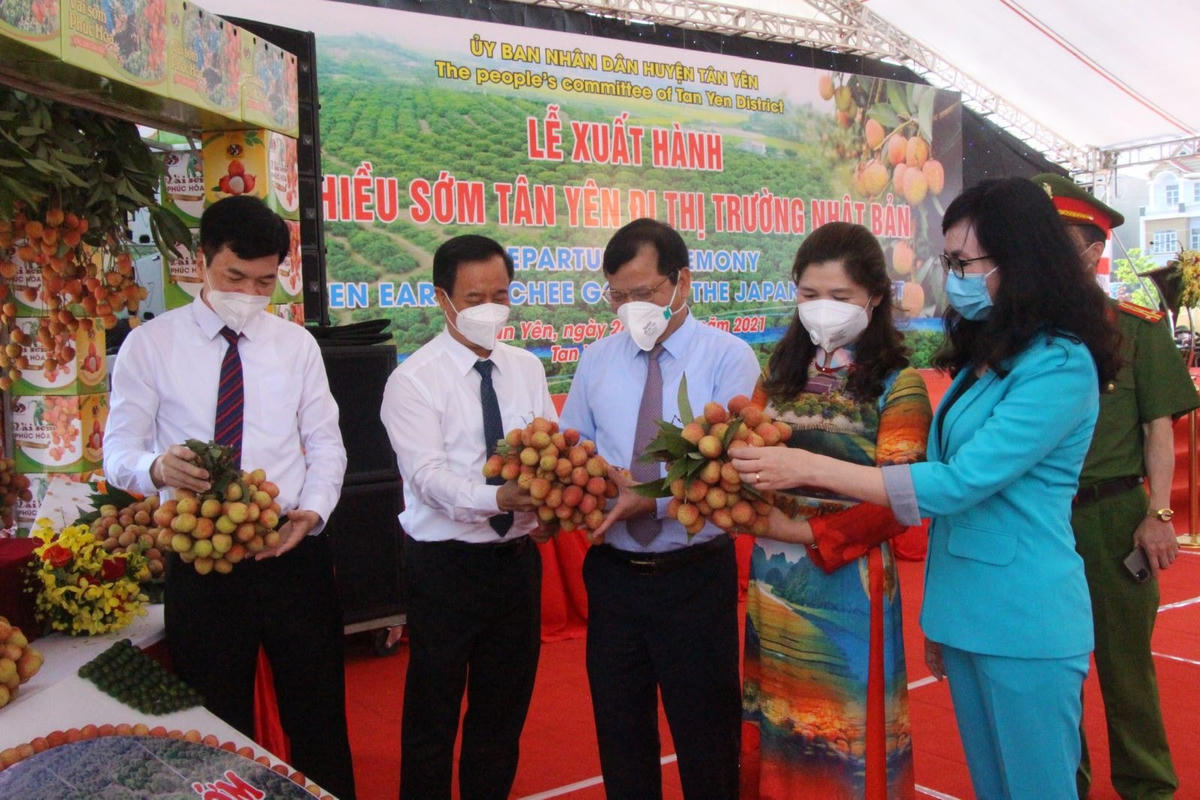 Lễ xuất hành lô vải thiều sớm Tân Yên đi thị trường Nhật Bản.