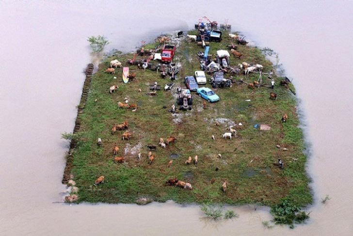 Đó không phải là diorama. Đó là một hòn đảo thực sự ở Malaysia, nơi mọi người thực sự sinh sống.