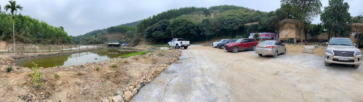 Nhiều thực khách chịu khó "lặn lội" vào đây để trải nghiệm "Rừng Trong Phố".