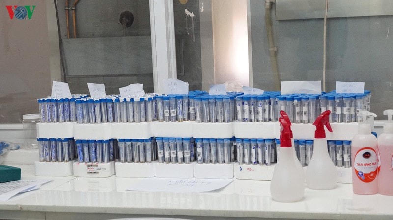 Mẫu xét nghiệm Covid-19 ở Viện Pasteur (Ảnh tư liệu).