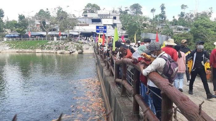 Cầu Đen là nơi hàng ngàn con cá tập trung để đón thức ăn từ du khách rải xuống.