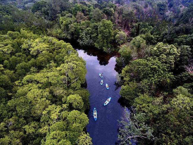 Nhóm du khách chèo thuyền kayak dọc con sông nhỏ trên đảo Kho Rong, Campuchia.