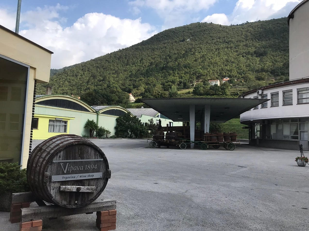 Hợp tác xã rượu truyền thống của Slovenia Vipava 1894. Ảnh: Vipava 1894.