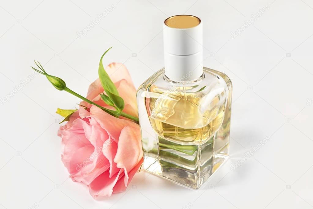 Scent With Love: Thế hệ trẻ muốn truyền tải thông điệp gì qua mùi hương nước hoa