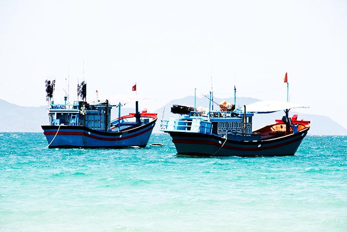 Kiên quyết xử lý các tàu cá vi phạm khai thác hải sản, không khai báo và không theo Quy định của Ủy ban châu Âu (IUU).