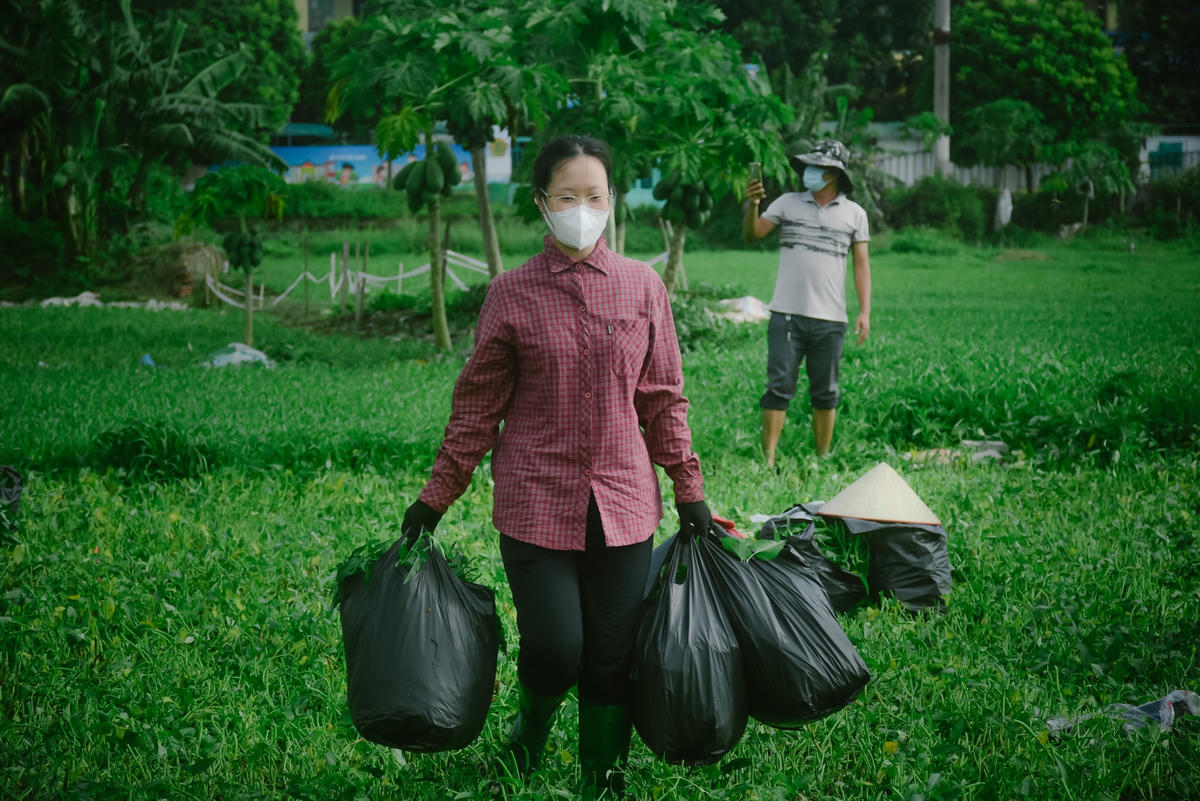 Sau khi thu hoạch, rau được chia vào từng túi và đưa ra xe. 