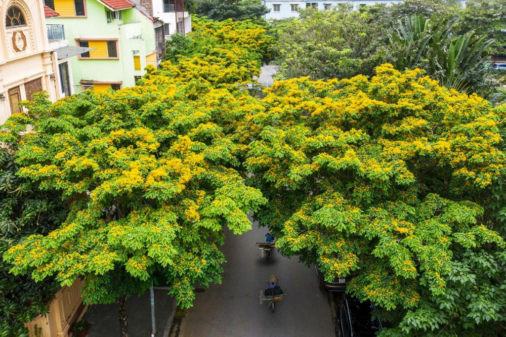 Hôm nay, Hà Nội có mưa dông, trời mát mẻ. Ảnh: Quang Vinh.