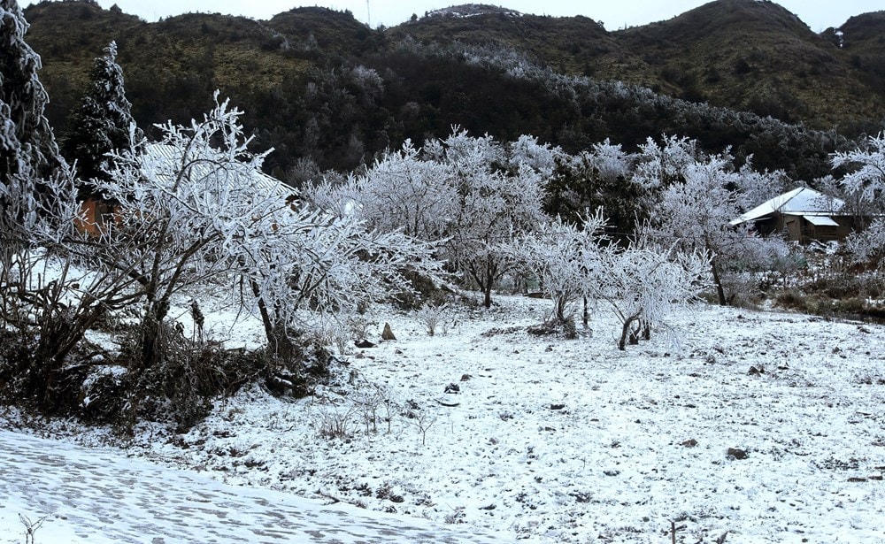 Tuyết rơi phủ trắng tại xã Y Tý, huyện Bát Xát. (Ảnh: Quốc Khánh/TTXVN).