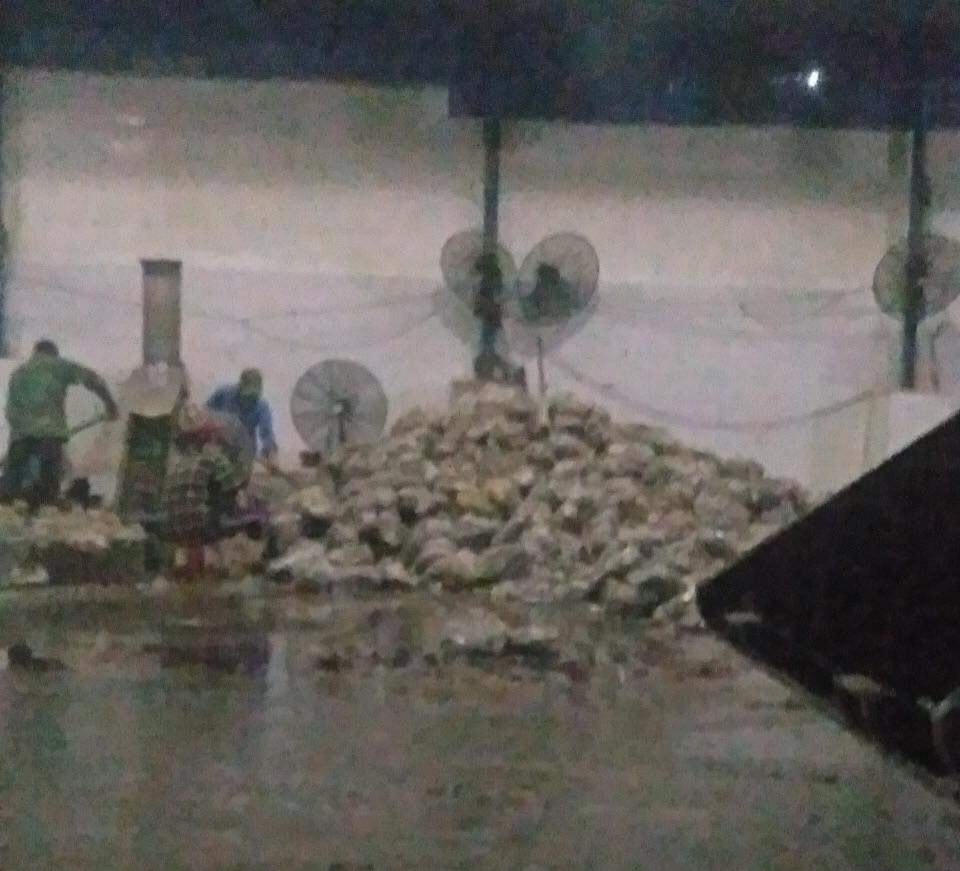 Tối 17/8, công nhân trong nhà máy chế biến cá Ngọc Sơn vẫn đang hăng say hoạt động. 