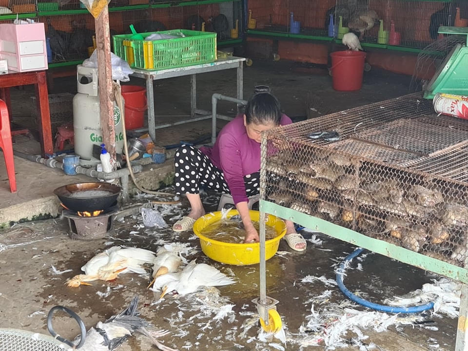 Làm thịt chim tại chợ cho khách có nhu cầu.