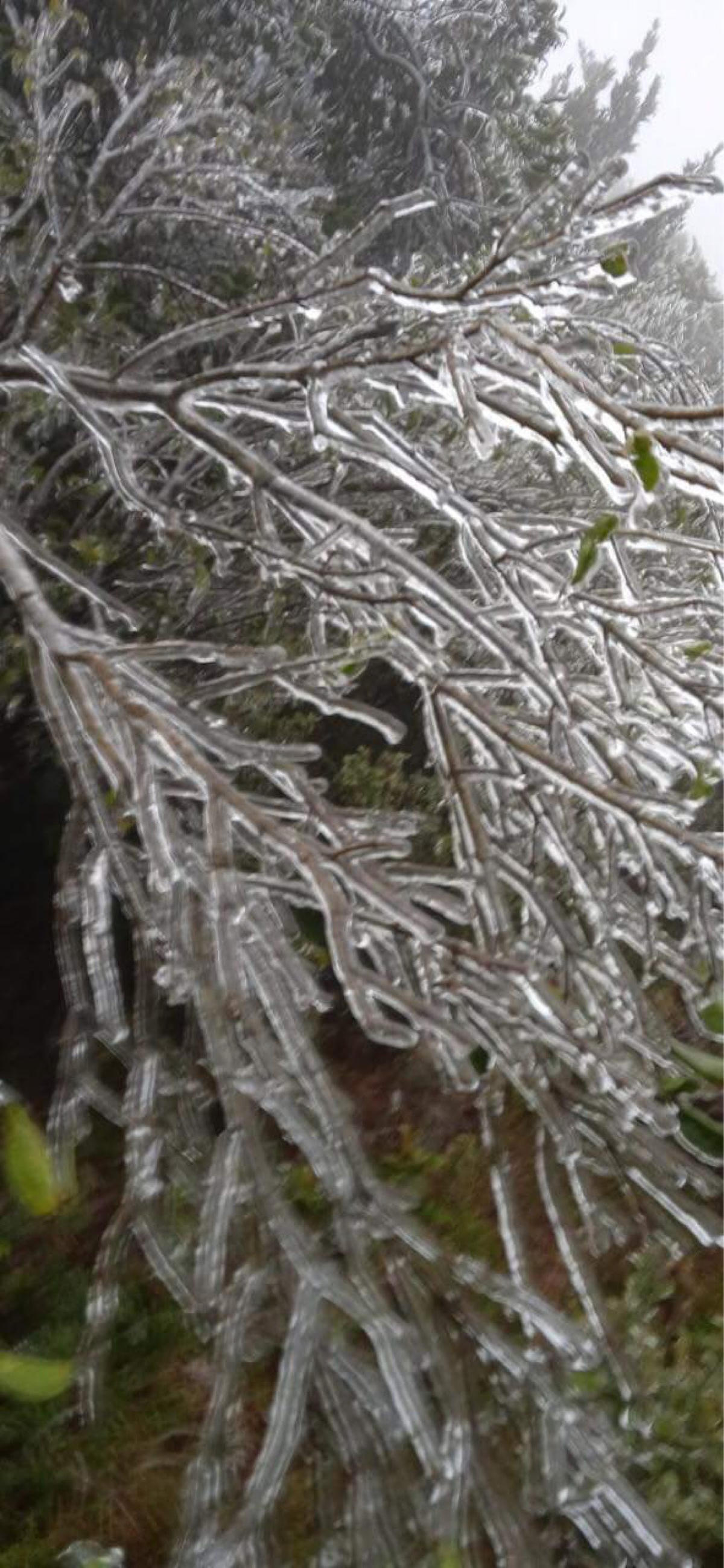 [VIDEO] Băng giá xuất hiện ở Bình Liêu (Quảng Ninh)