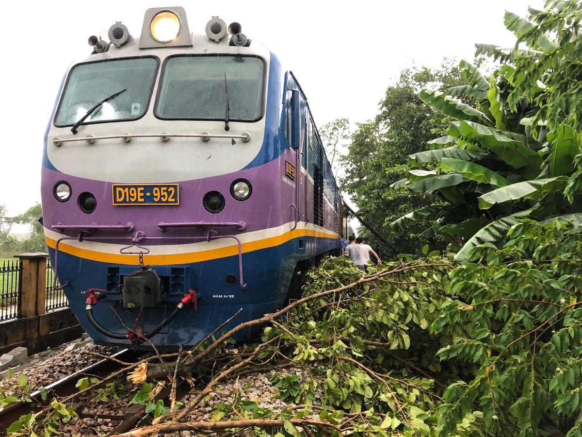 Tàu hoả phải dừng bánh do cây cối ngã đổ chắn ngang ở TP Huế. Ảnh: Dân trí.