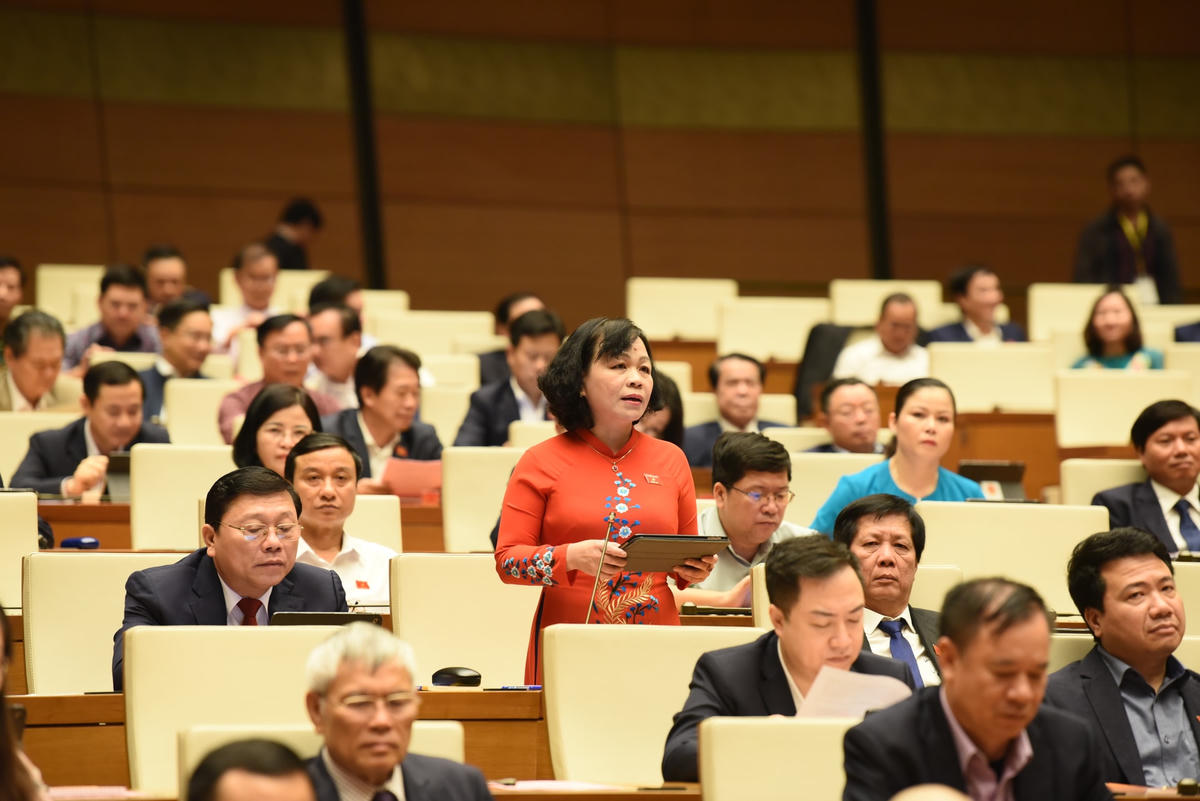 ĐBQH Nguyễn Thị Mai Hoa.