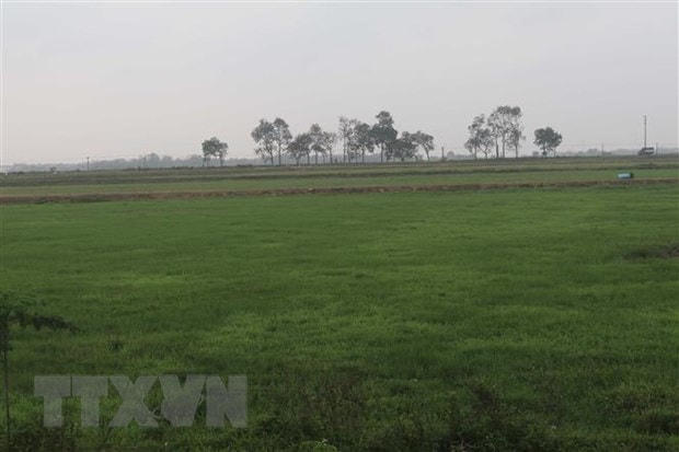 Vĩnh Phúc: Bắt tạm giam nguyên Bí thư và nguyên Chủ tịch xã Phú Xuân