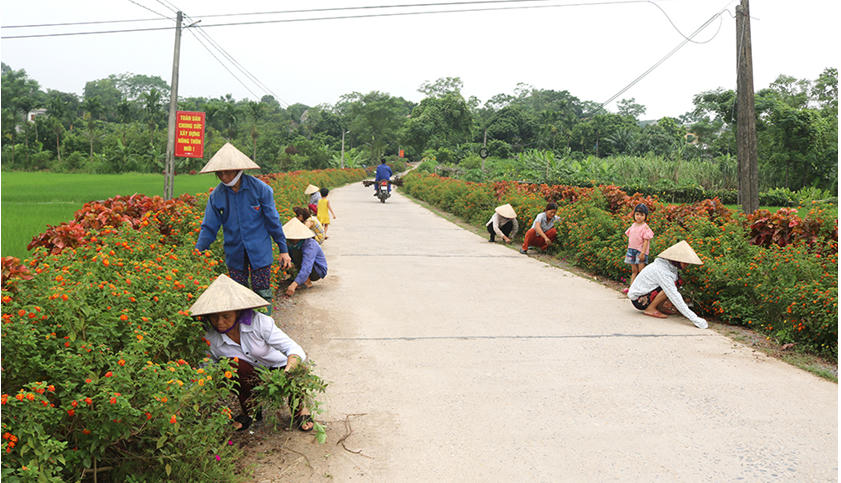 Những tuyến đường hoa do Mặt trận và các đoàn thể vận động nhân dân thực hiện ở nhiều huyện, thành thị.