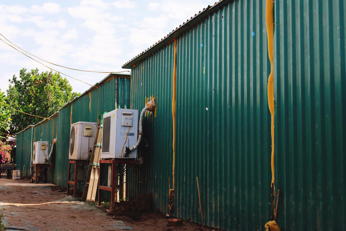 Vào thời điểm giáp Tết, toàn bộ số đào Thất Thốn sẽ được đưa vào các “phòng điều hòa” để điều chỉnh được hoa nở đúng dịp Tết Nguyên đán.