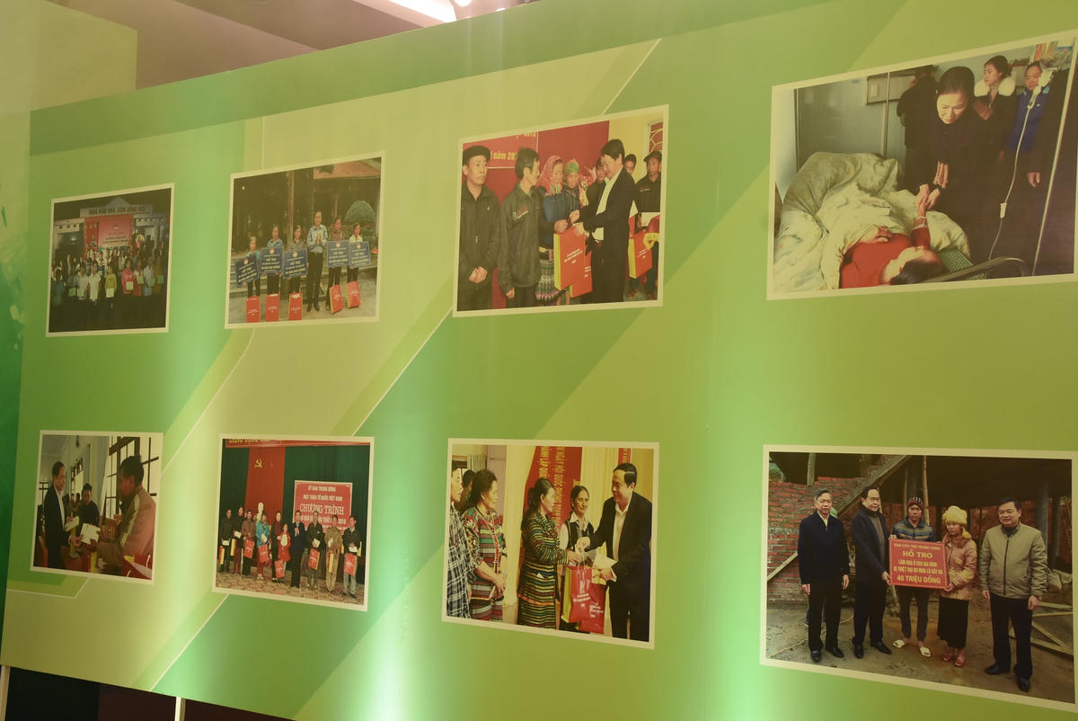 Một số bức ảnh được trưng bày tại khu vực thảm xanh.