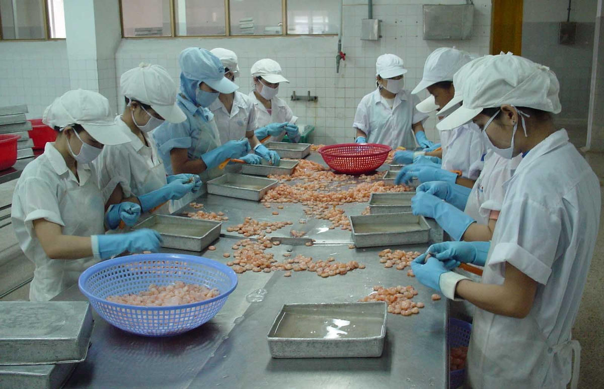 Doanh nghiệp chế biến thủy sản cần thêm cơ chế thích hợp để tăng cường năng lực sản xuất.