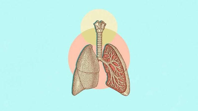 Ca ghép khí quản đầu tiên trên thế giới thành công