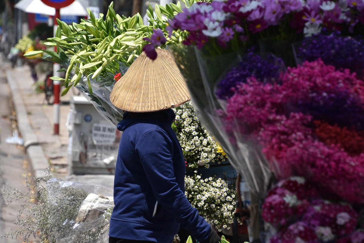 [ẢNH] Loại hoa đầu mùa khiến dân Hà Nội phải 'săn lùng'