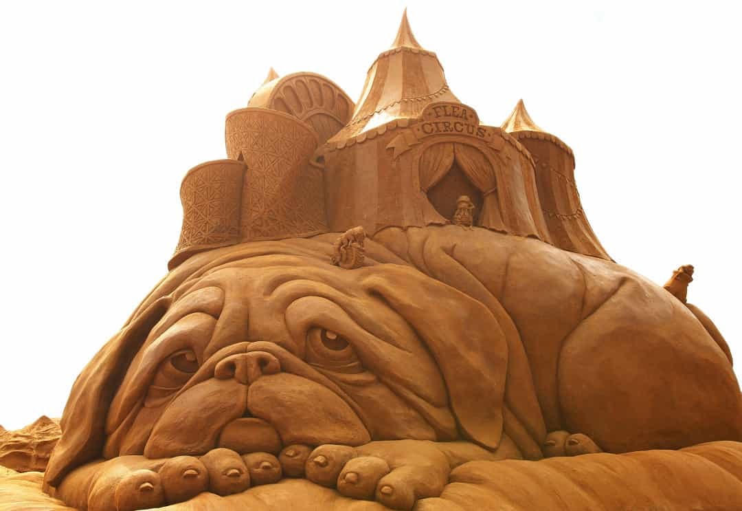 Tác phẩm do Susanne Ruseler (Hà Lan) chạm khắc cũng là một phần của Triển lãm Creepy Crawlies Sandsculpting ở Melbourne, Úc.  