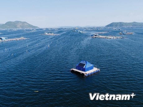 Hệ thống giám sát môi trường nước biển ứng dụng công nghệ tiên tiến ở Phú Yên. (Ảnh: UTS Rapido Việt Nam).