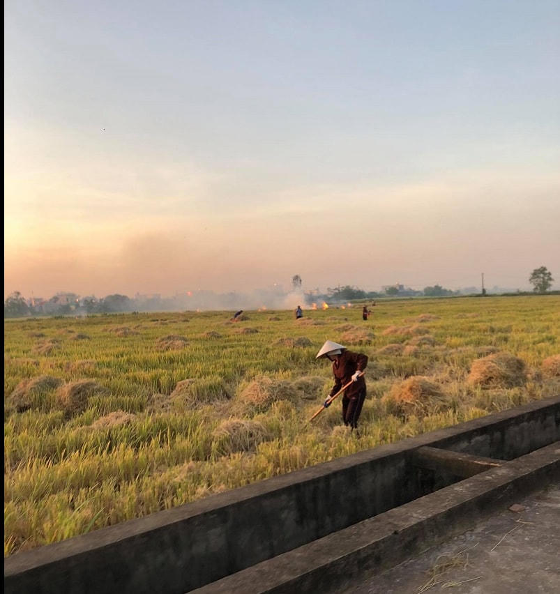 Nhiều hộ dân đang miệt mài cào rơm thành các đống nhỏ để đốt, chuẩn bị làm đất cho vụ sau.