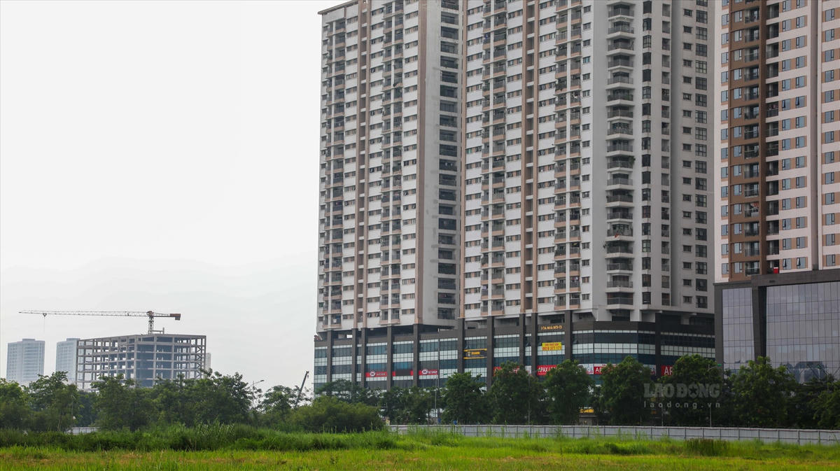 Kiểm toán Nhà nước chỉ ra nhiều ô đất tại khu đô thị ngoại giao đoàn do Hancorp làm chủ đầu tư đang còn nợ tiền thuê đất