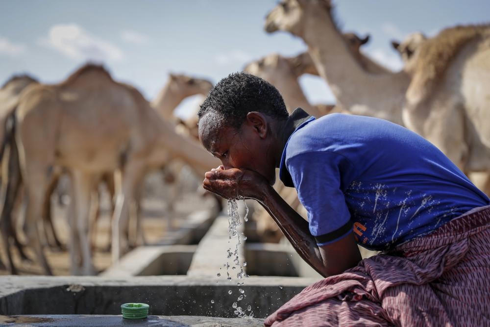 Nguồn nước ở Kenya giờ đây là quá quý hiếm đối với cả con người lẫn động vật. Ảnh: AP.