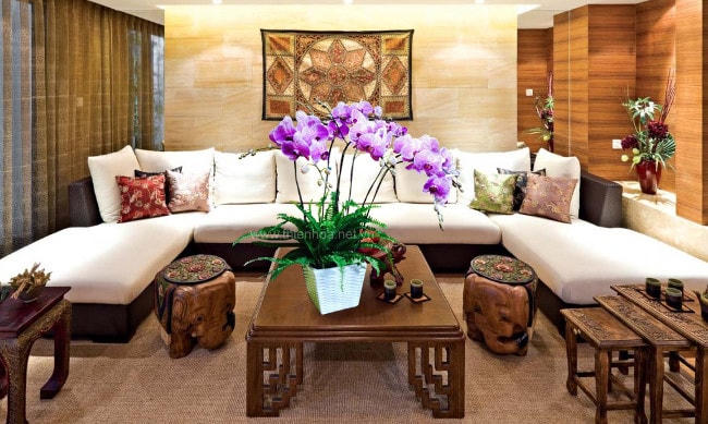 Ngày Tết, nên chọn cây cảnh nào để 'hút' tài lộc vào nhà?